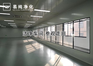 潔凈參觀走廊這樣設(shè)計(jì)大氣不？